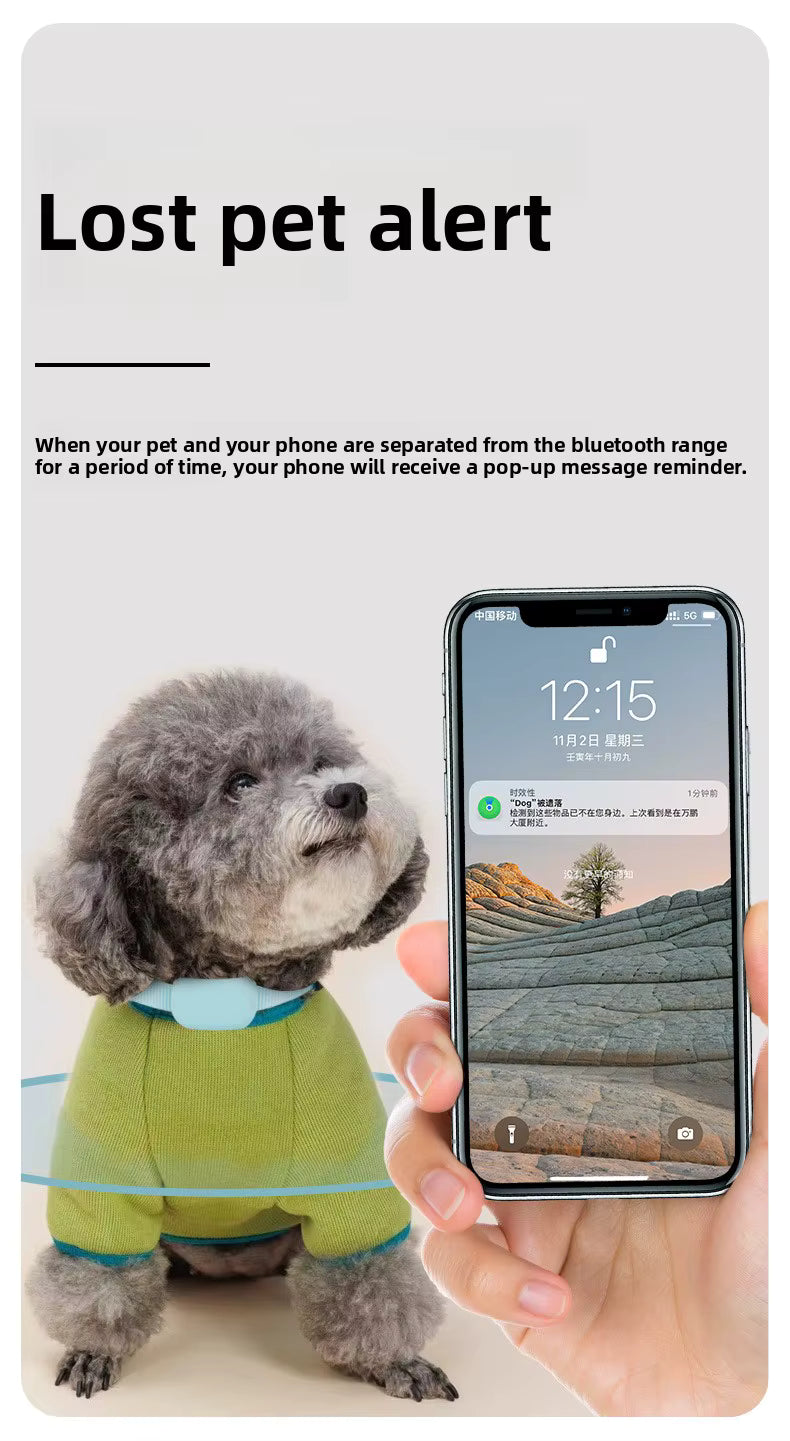 Alertă animal pierdut
